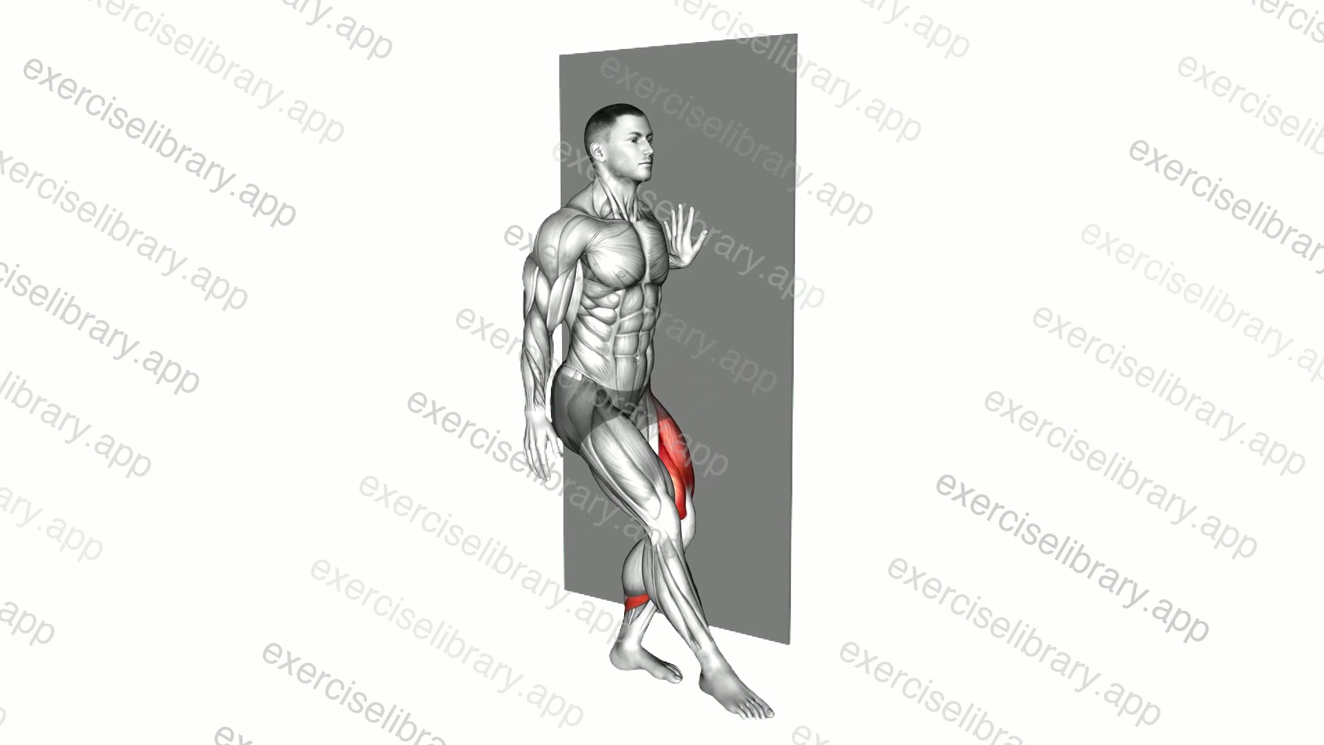 Single Leg Squat with Wall Support demonstration