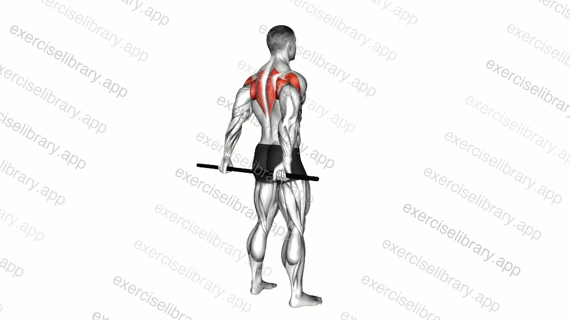 Stick Standing Shoulder Mobilization in Extension demonstration