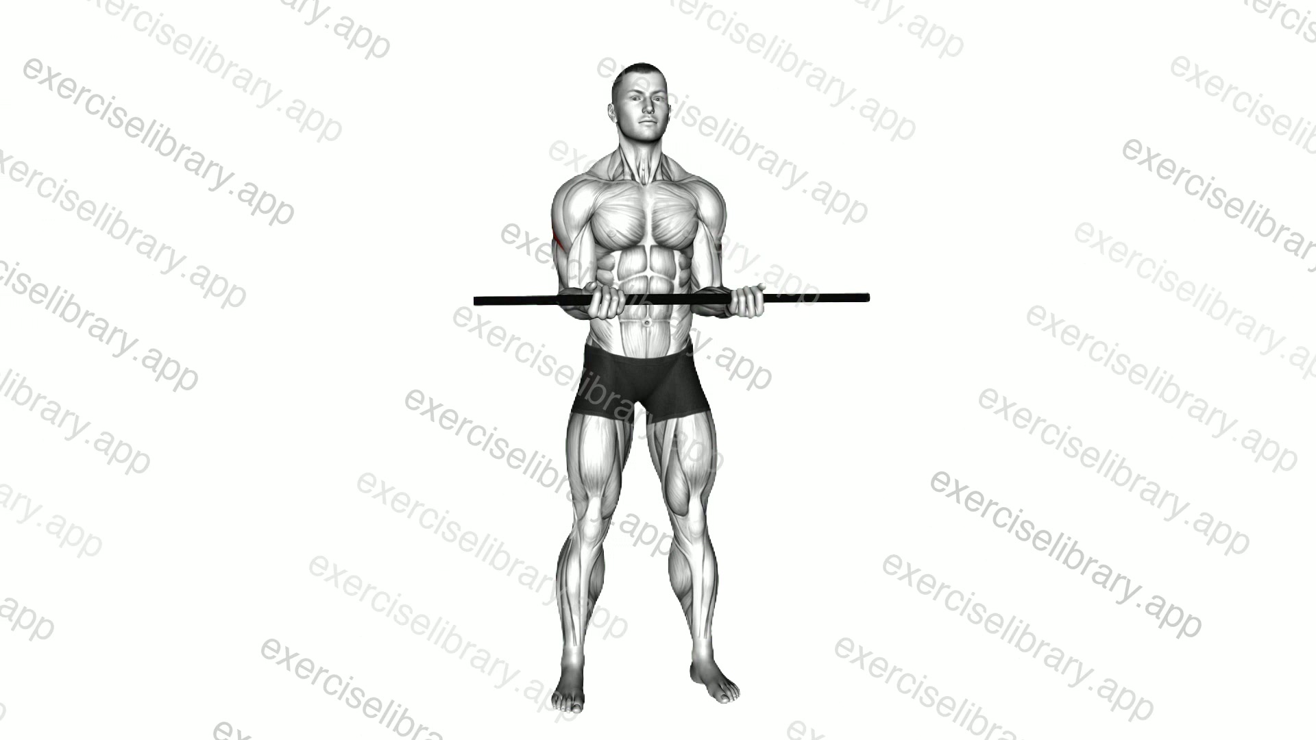 Stick Standing Shoulder Mobilization In External Rotation demonstration