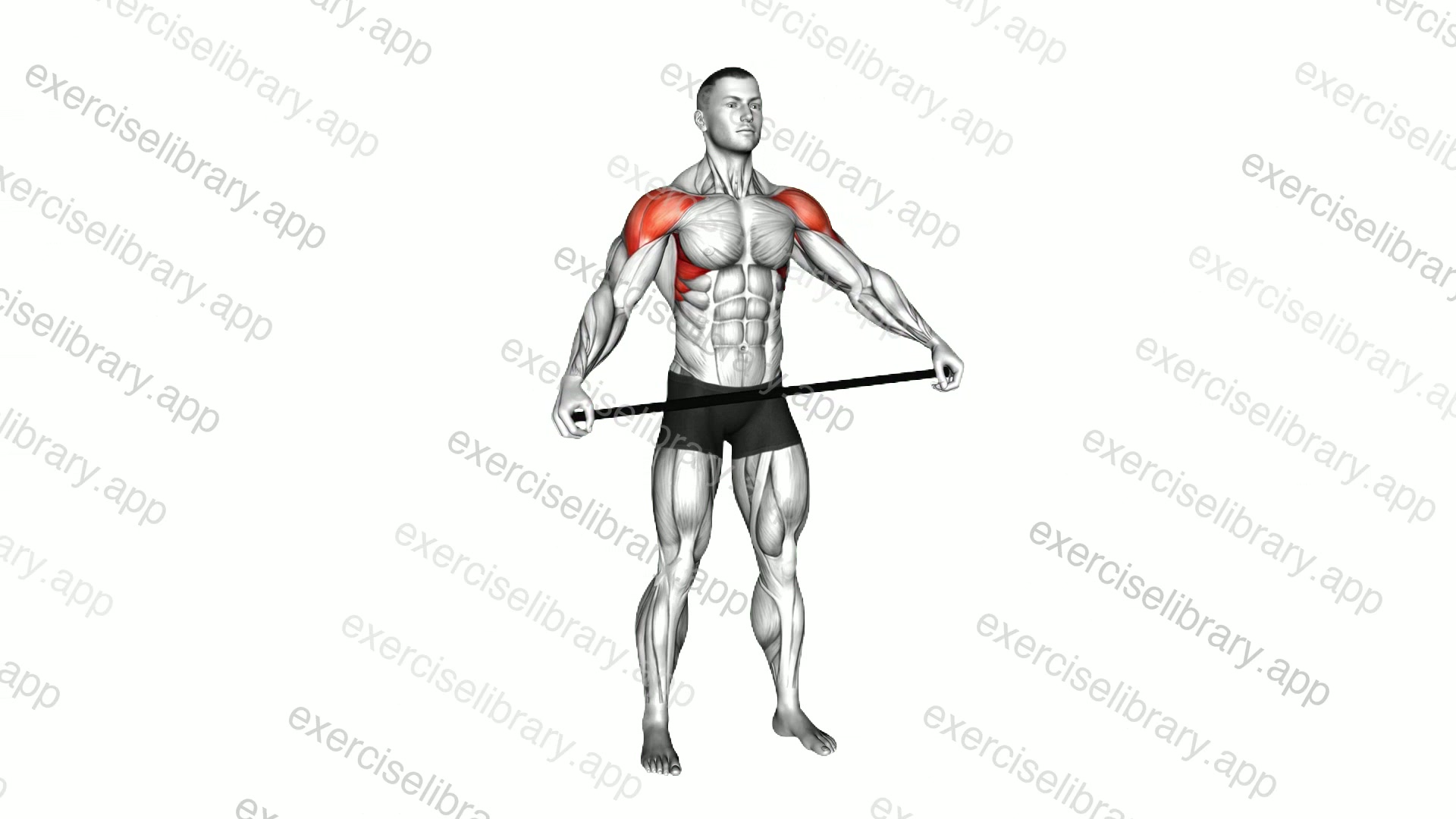 Stick Shoulder Mobilization in Abduction demonstration