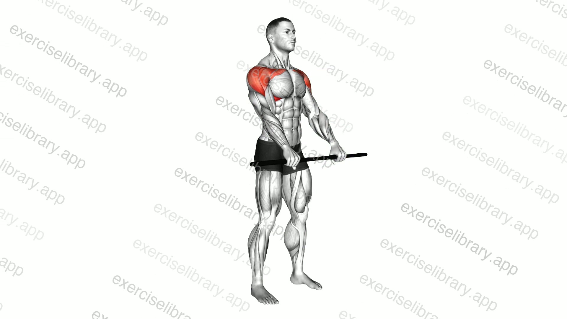 Stick Standing Front Raise demonstration