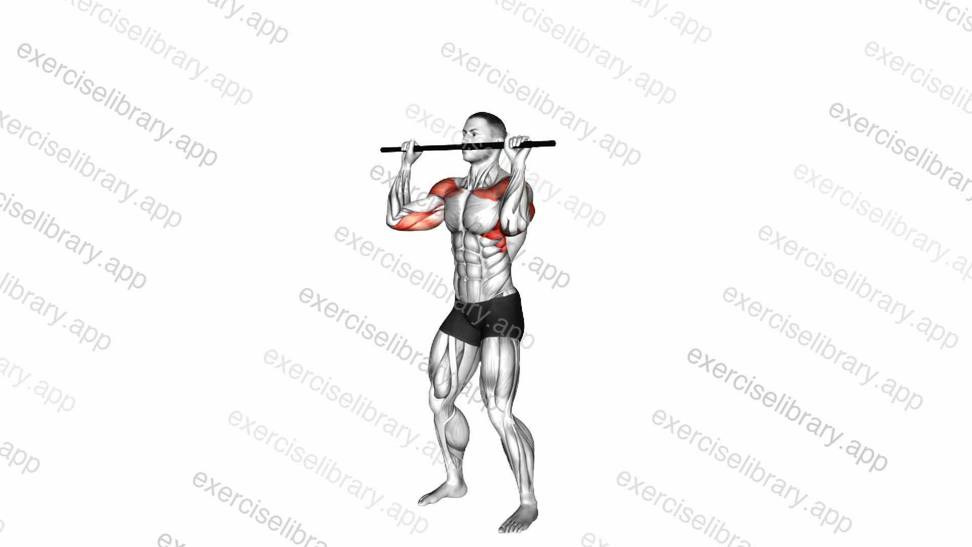 Stick Standing Shoulder Press demonstration