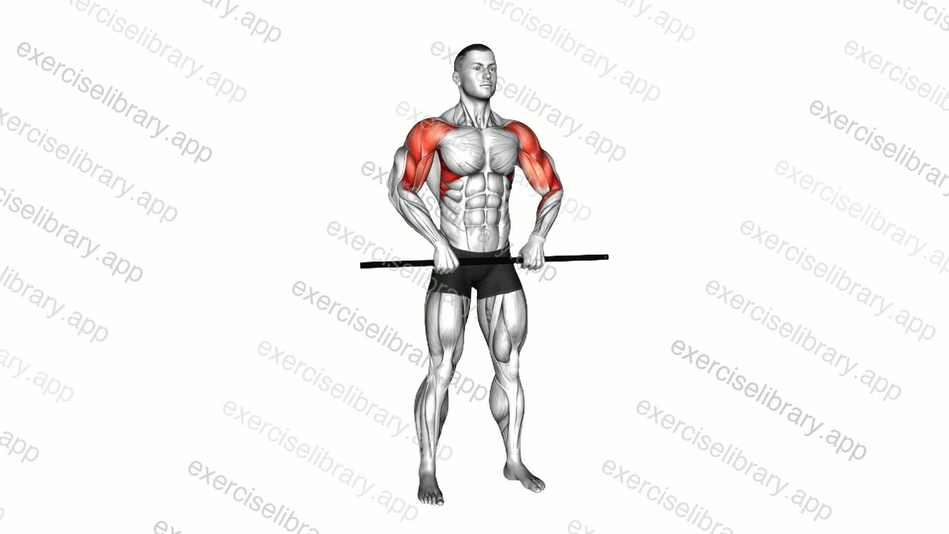Stick Standing Upright Row demonstration