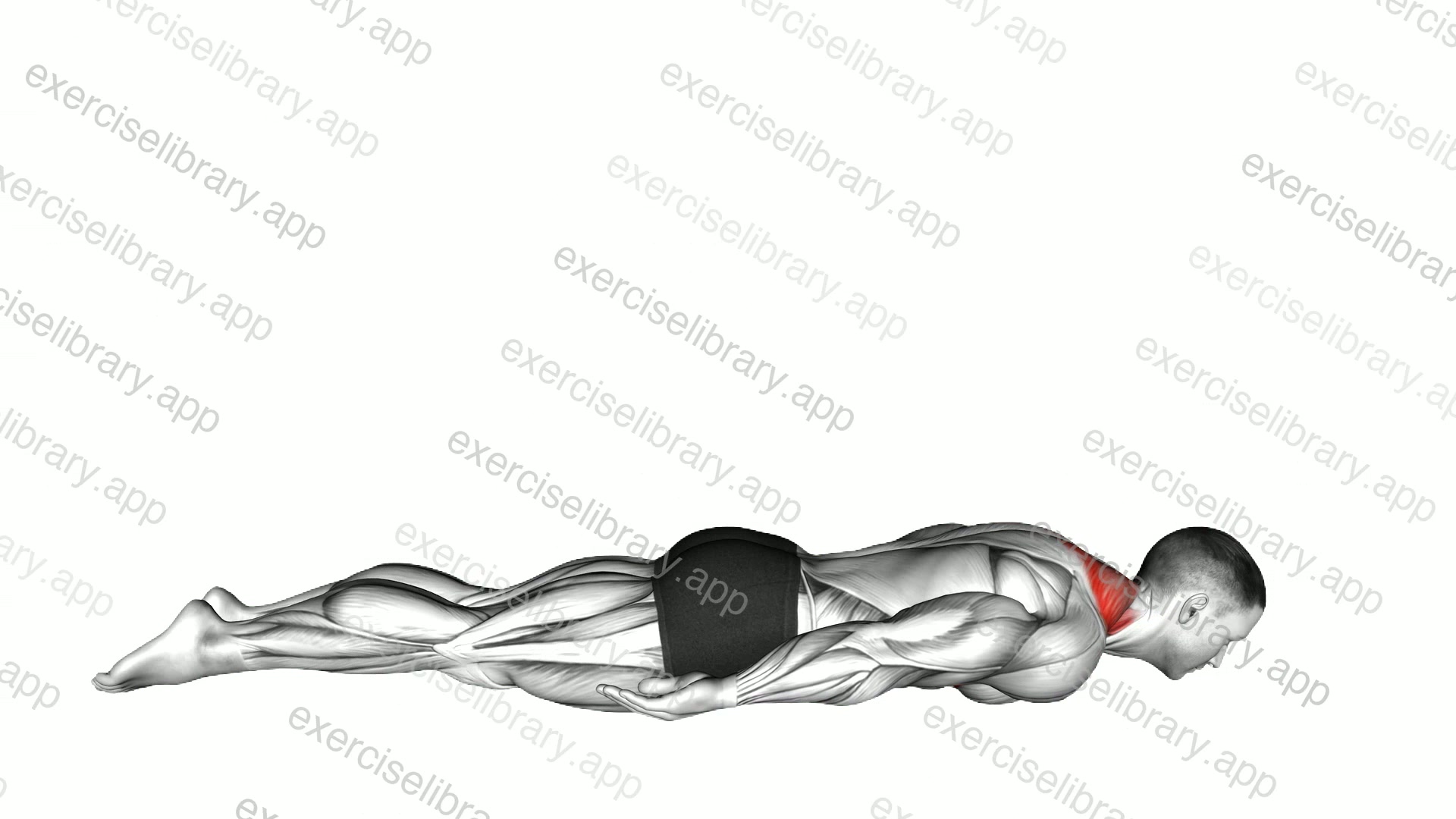 Lying Upper Trapezius Press demonstration