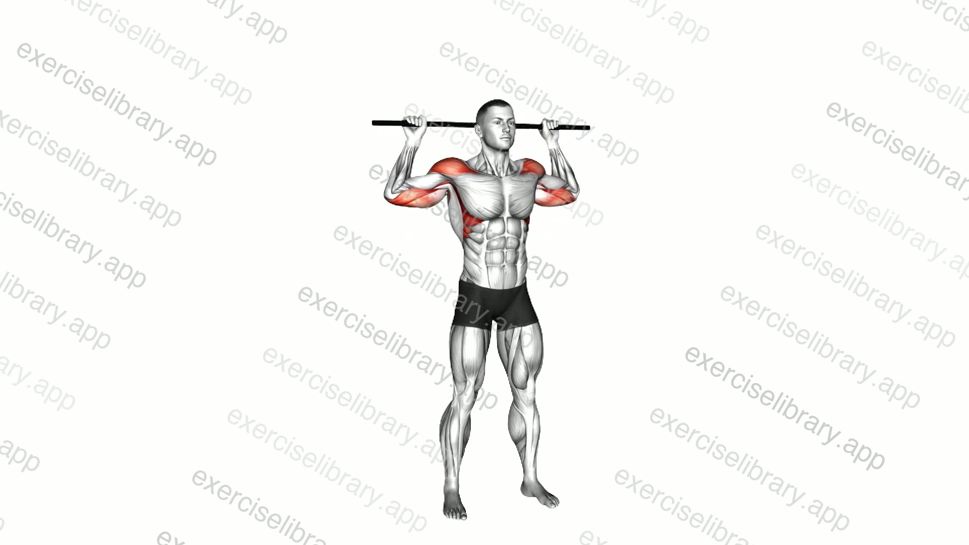 Stick Standing Behind Neck Press demonstration