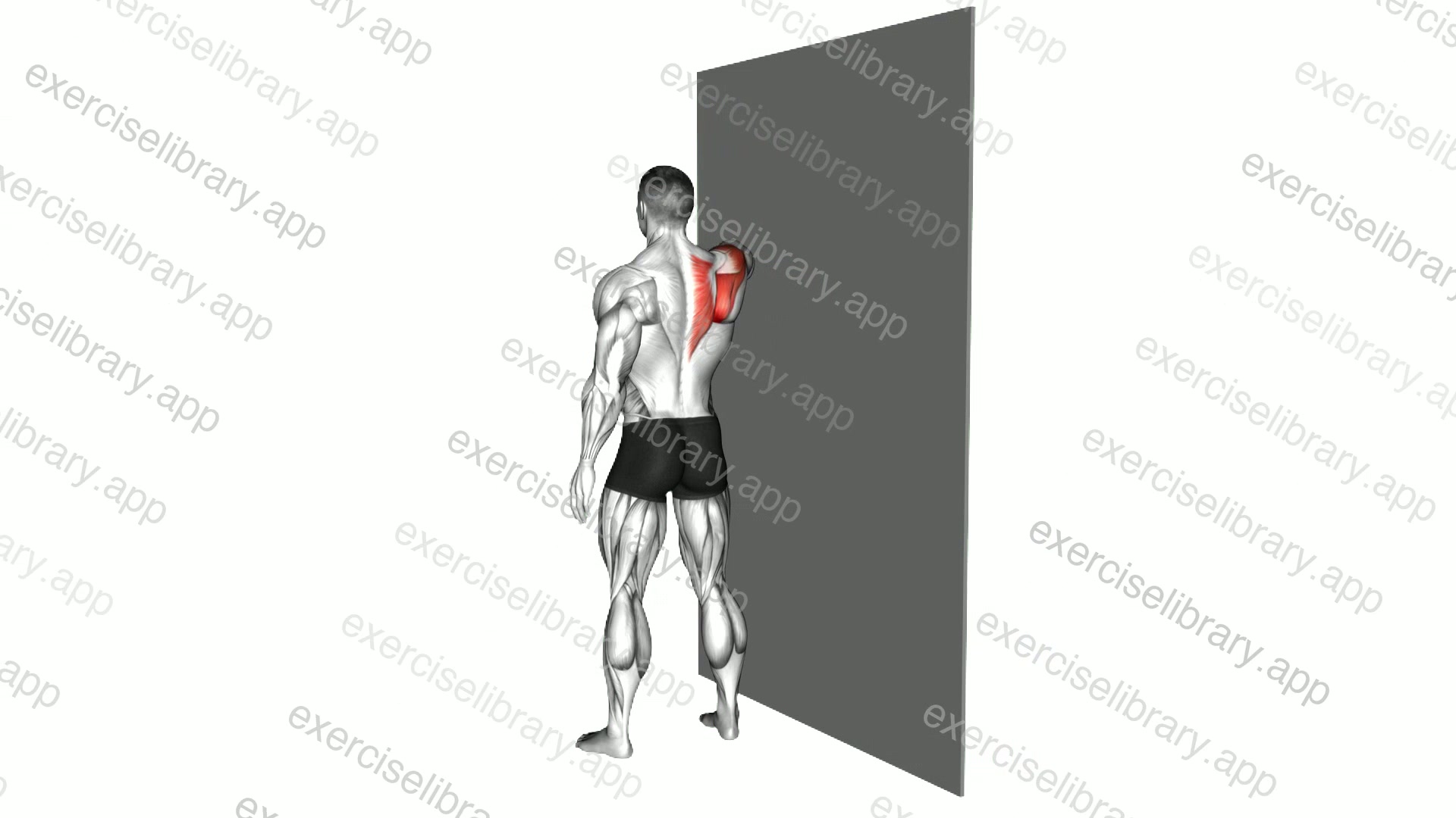 Standing Single Arm Circle on a Wall demonstration