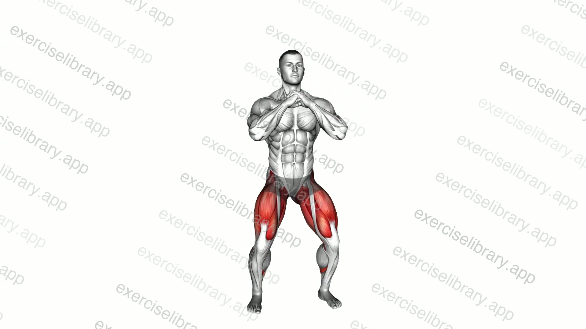 Deep Frog Squat demonstration