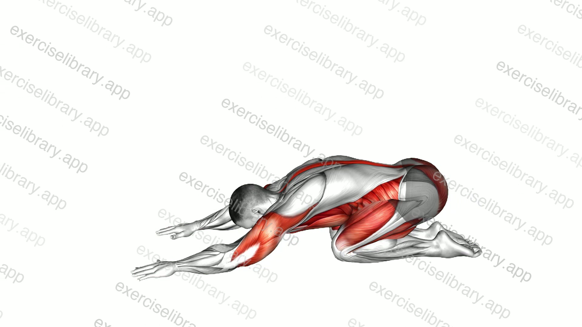 Child to Cobra Pose demonstration