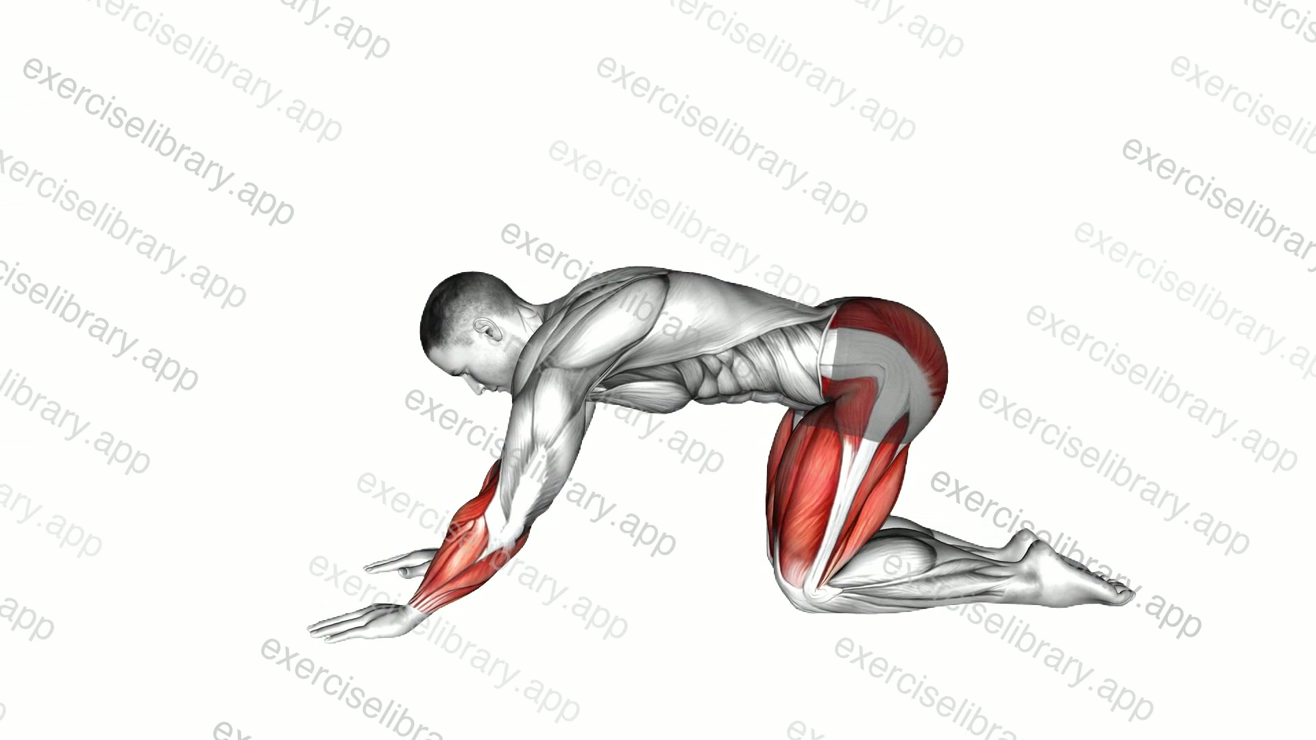 Child pose Arms Rotation demonstration