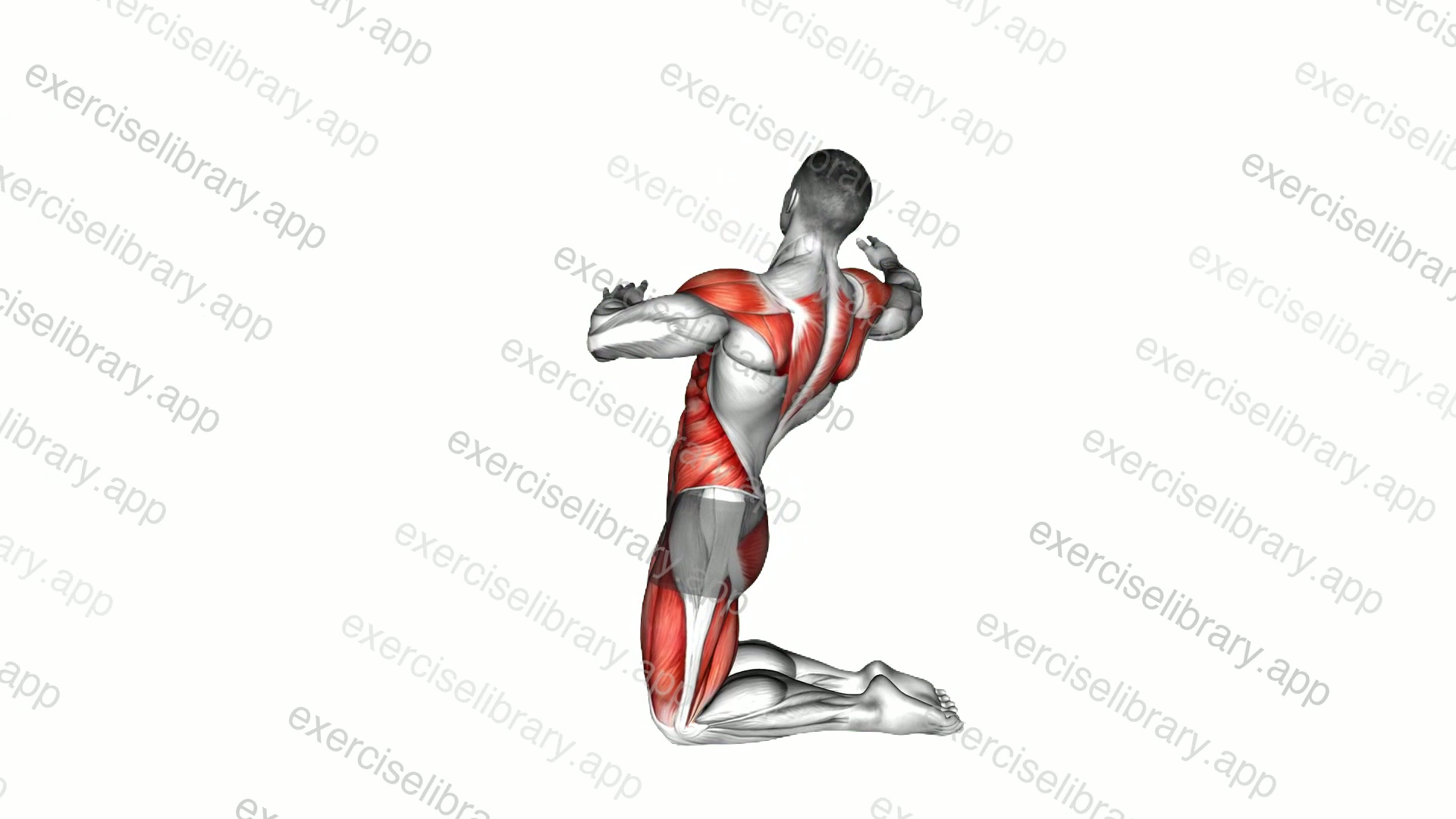 Kneeling Backwards Reach demonstration