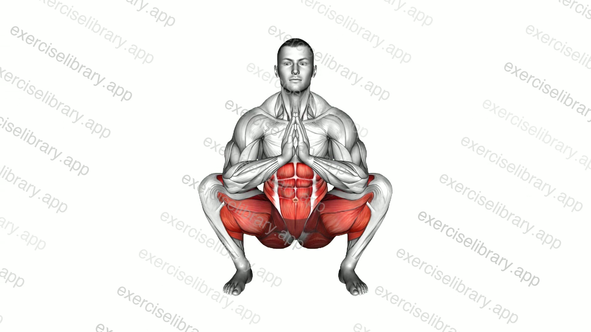 Yoga Squat Dives demonstration