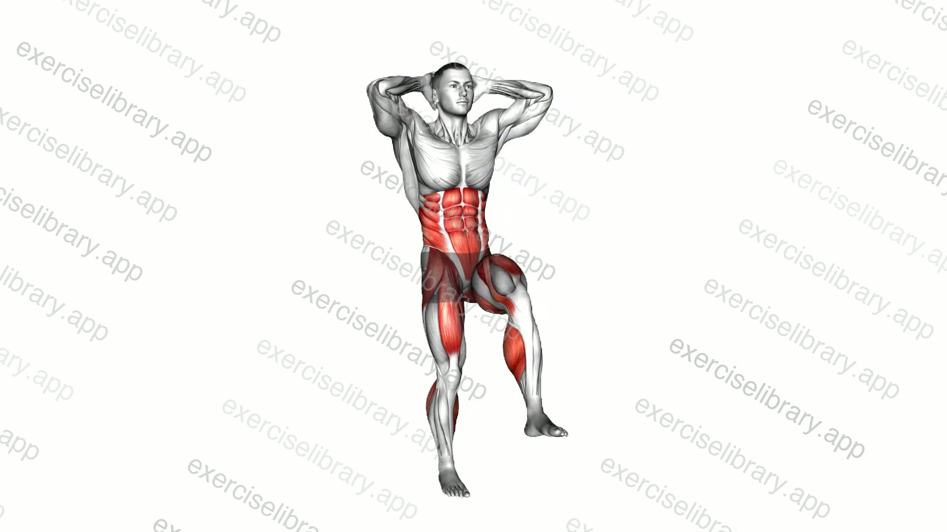 Standing Alternate Leg Lift demonstration