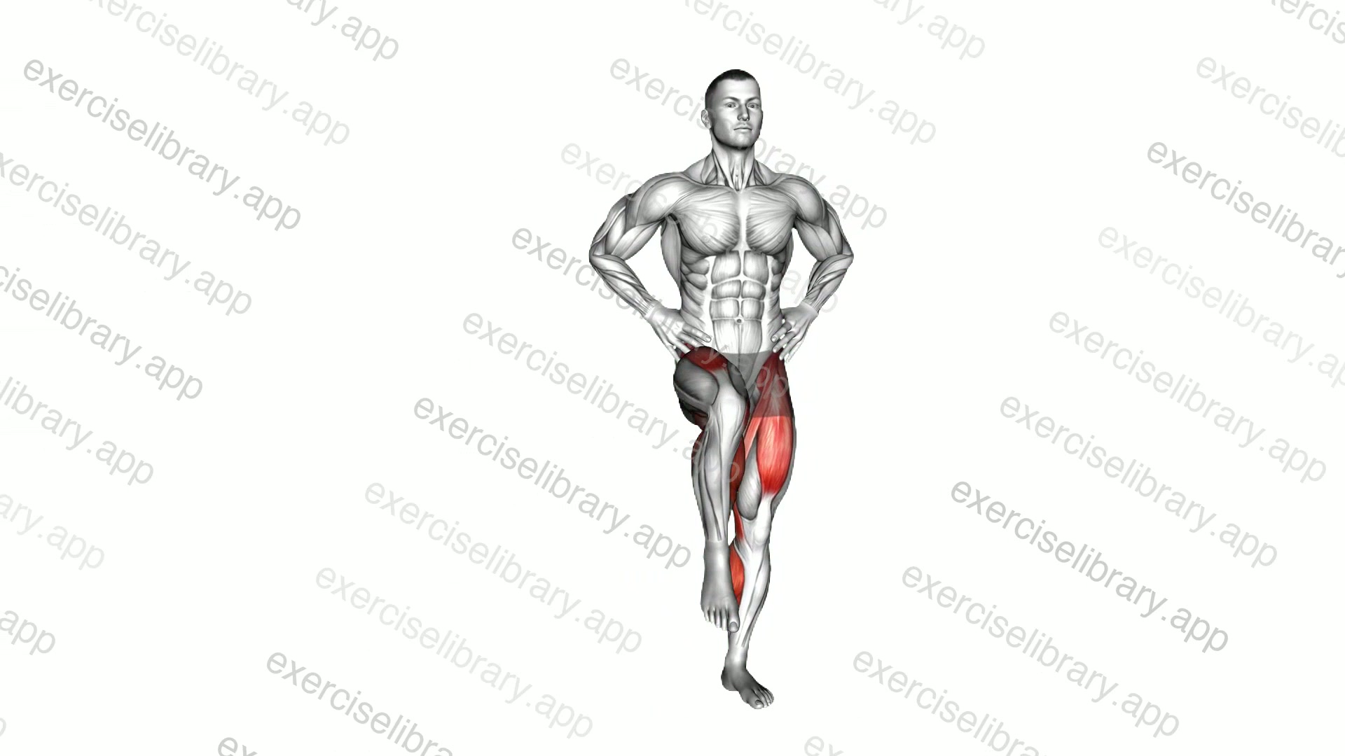 Standing Alternate Knee Raise demonstration