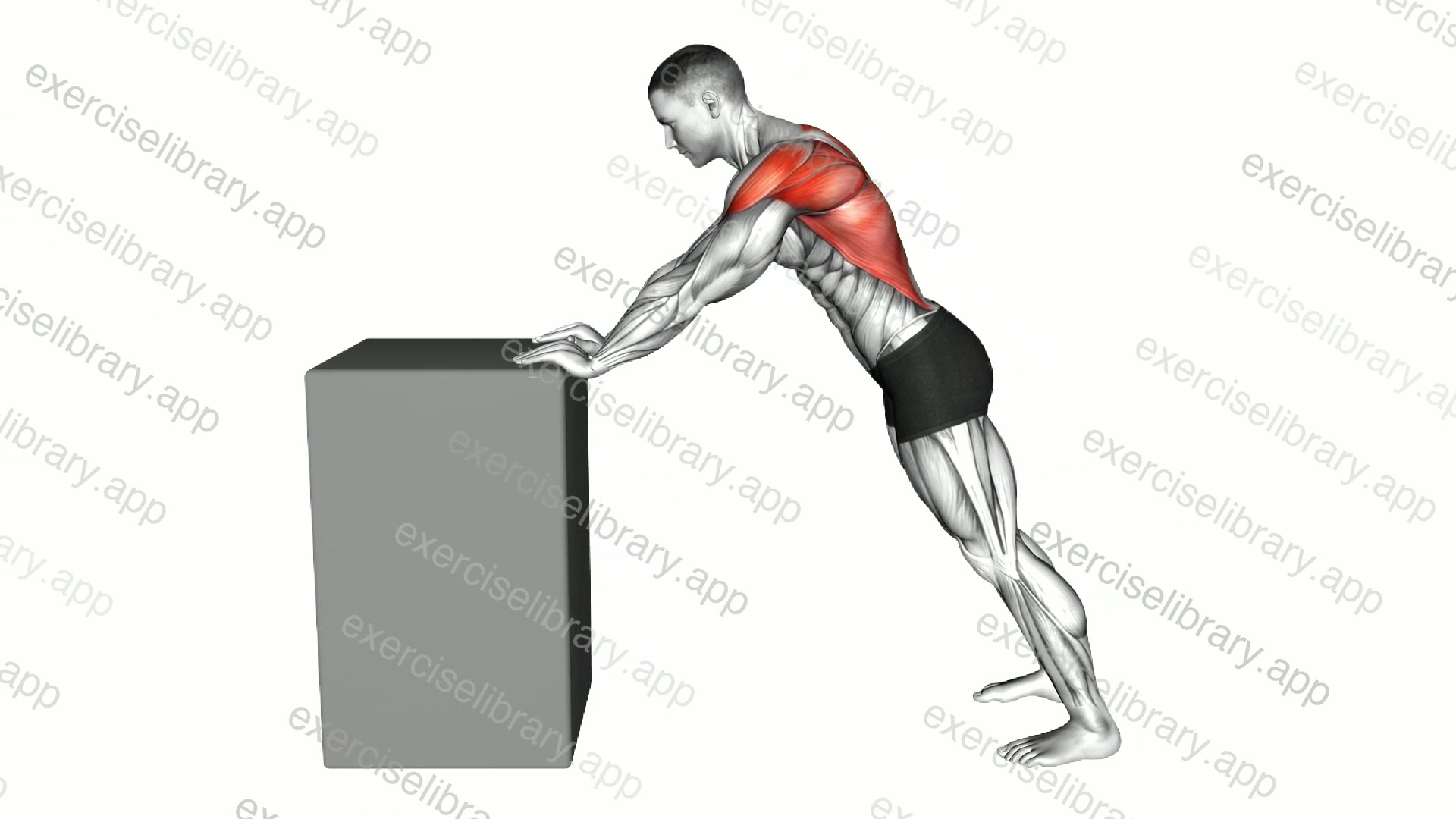 Lat Shoulder Stretch into Shoulder Shrug demonstration