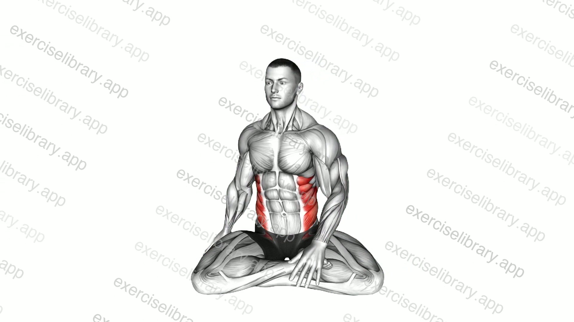 Seated Twist Stretch demonstration