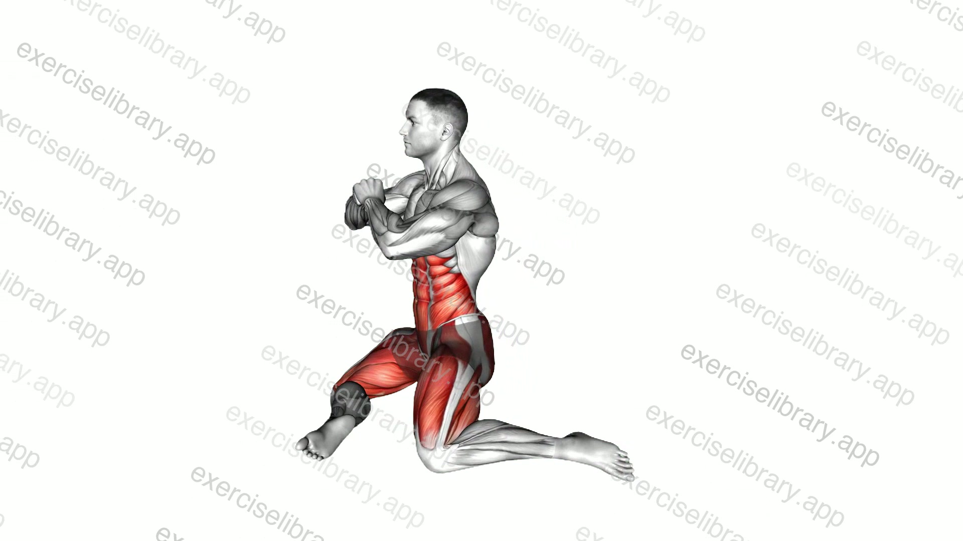 90 to 90 Knee Thrust demonstration