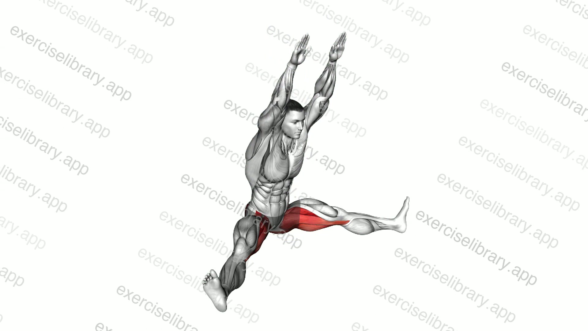 Wide Leg Learning Forward demonstration