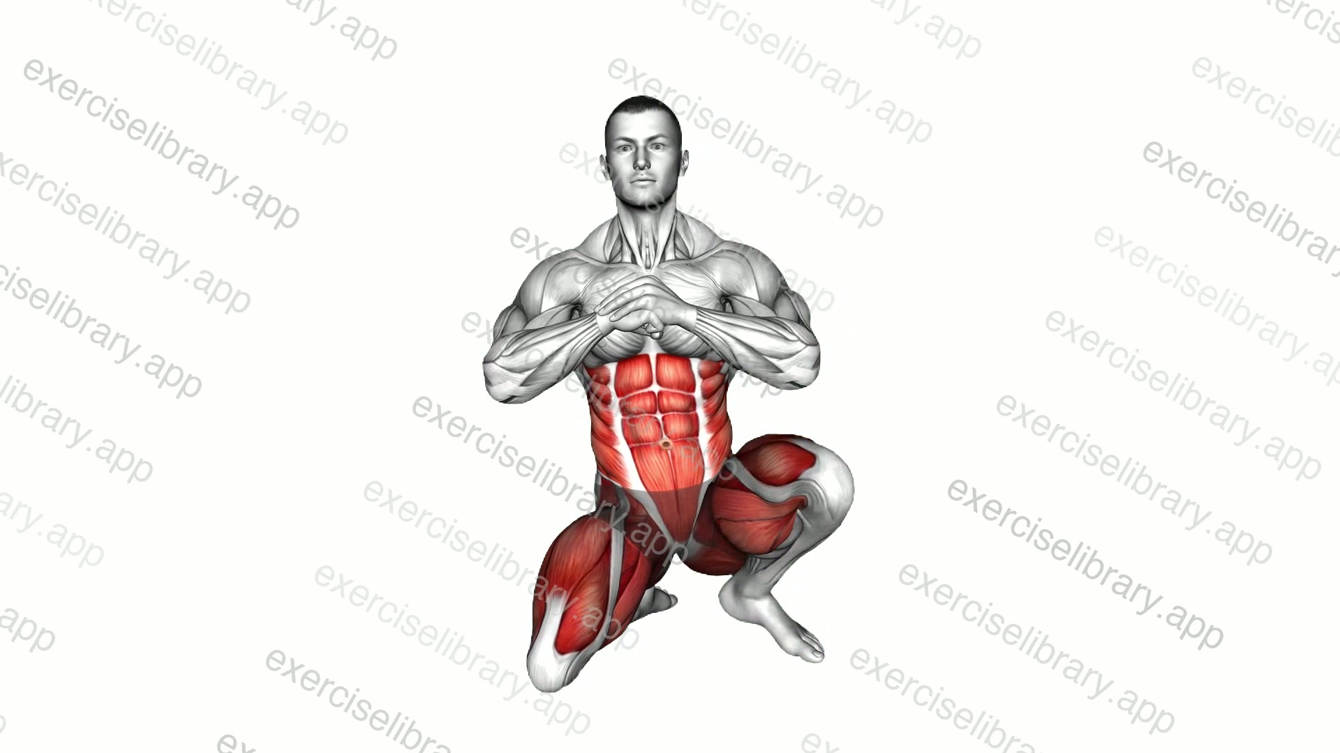 Kneeling External Rotation demonstration