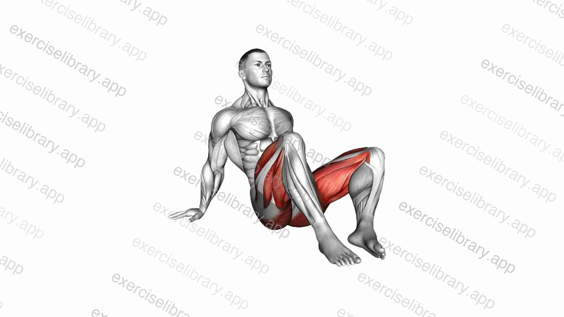 Seating Alternate Leg Abduction and Extension demonstration