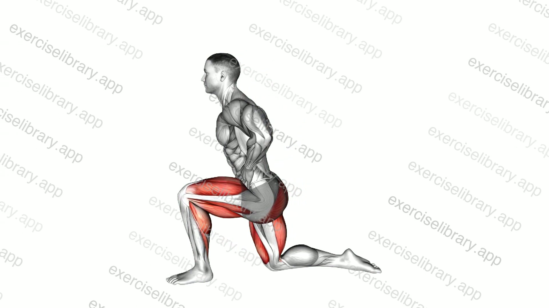 Deep Lunge Dorsi Flexion demonstration