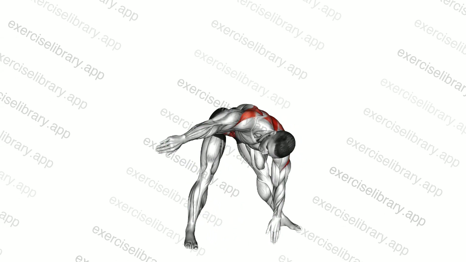 Wide Stance Thoracic Rotation demonstration
