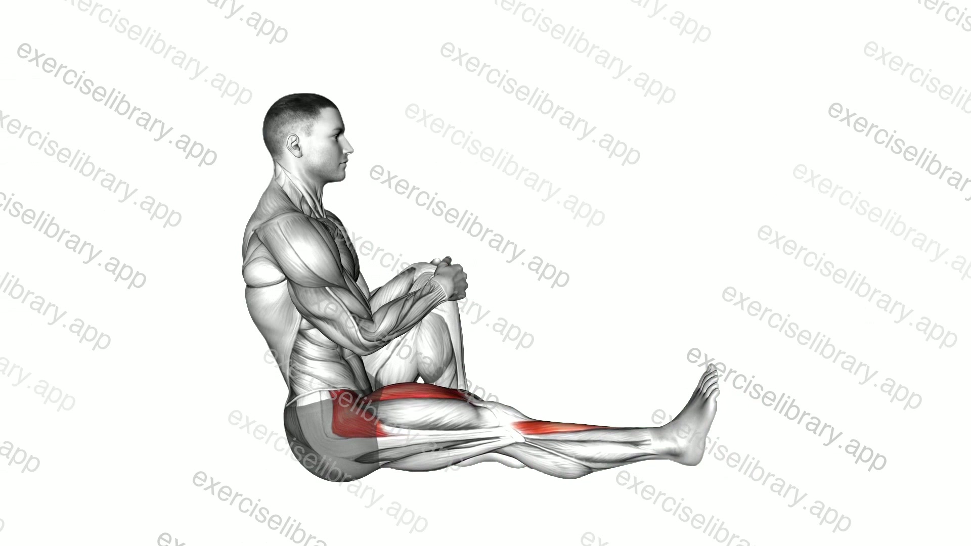 Sitting Floor Tibialis Raise demonstration