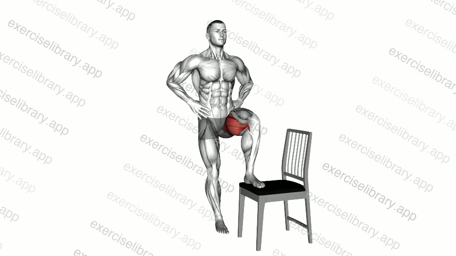 Standing Pelvic Stabilizers Mobilization demonstration