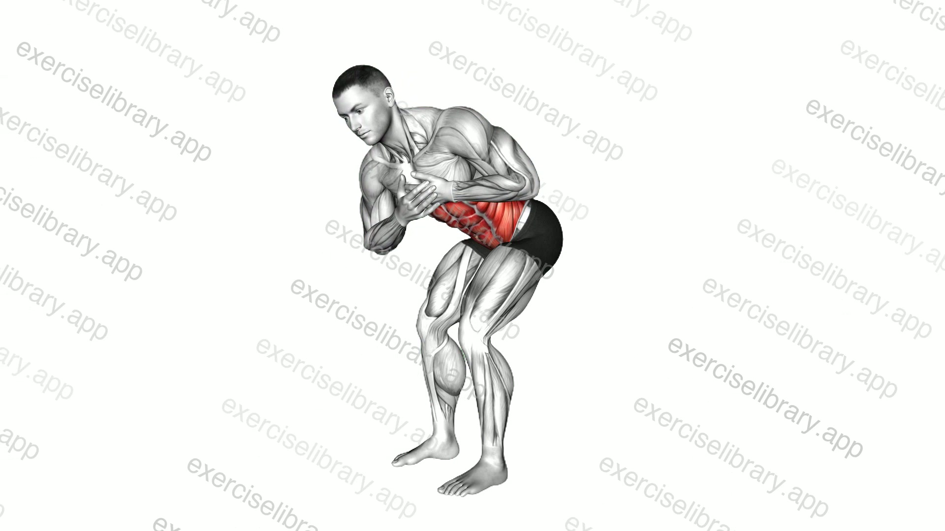 Upper Body Rotation in Squat Position demonstration