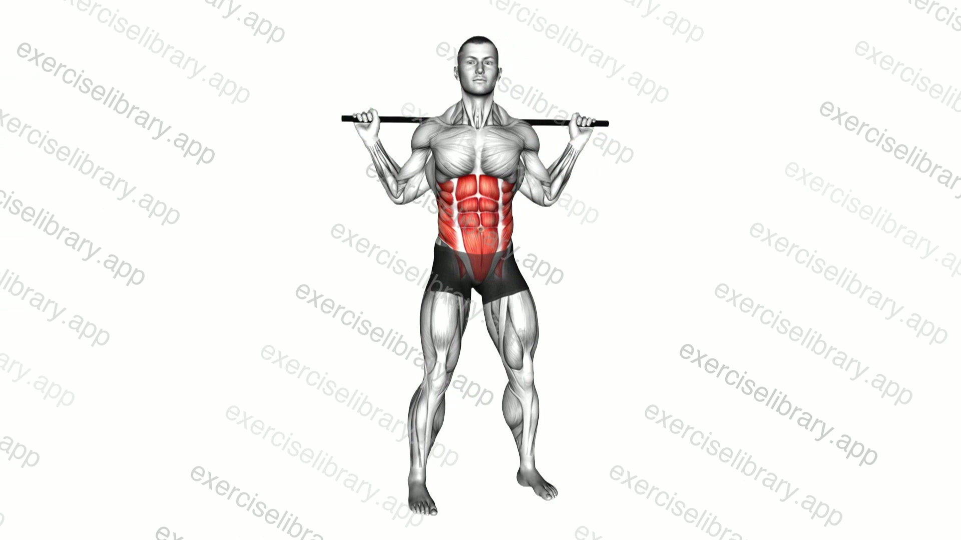 Stick Standing Torso Twist demonstration