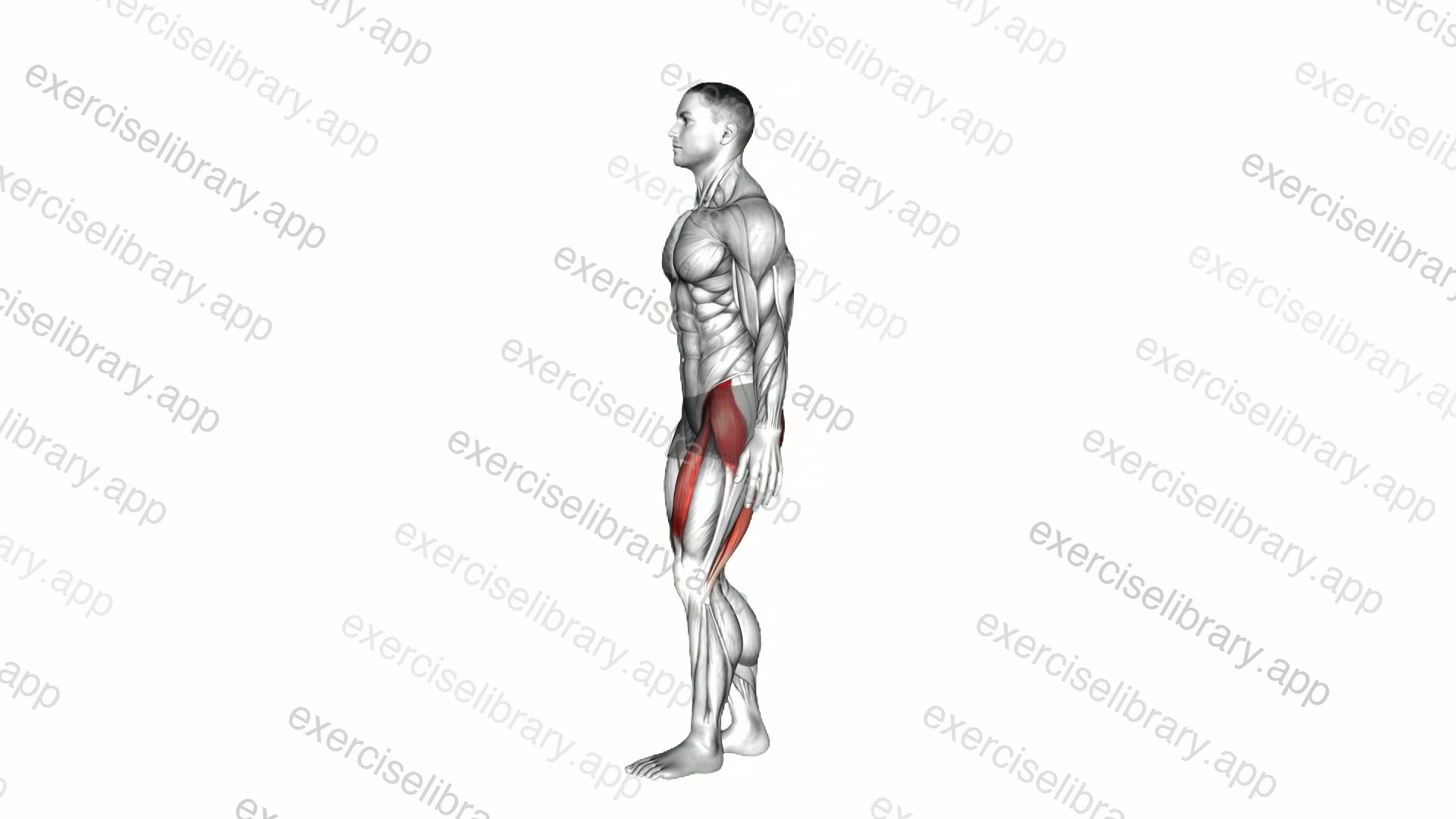 Dynamic One Leg Stand demonstration