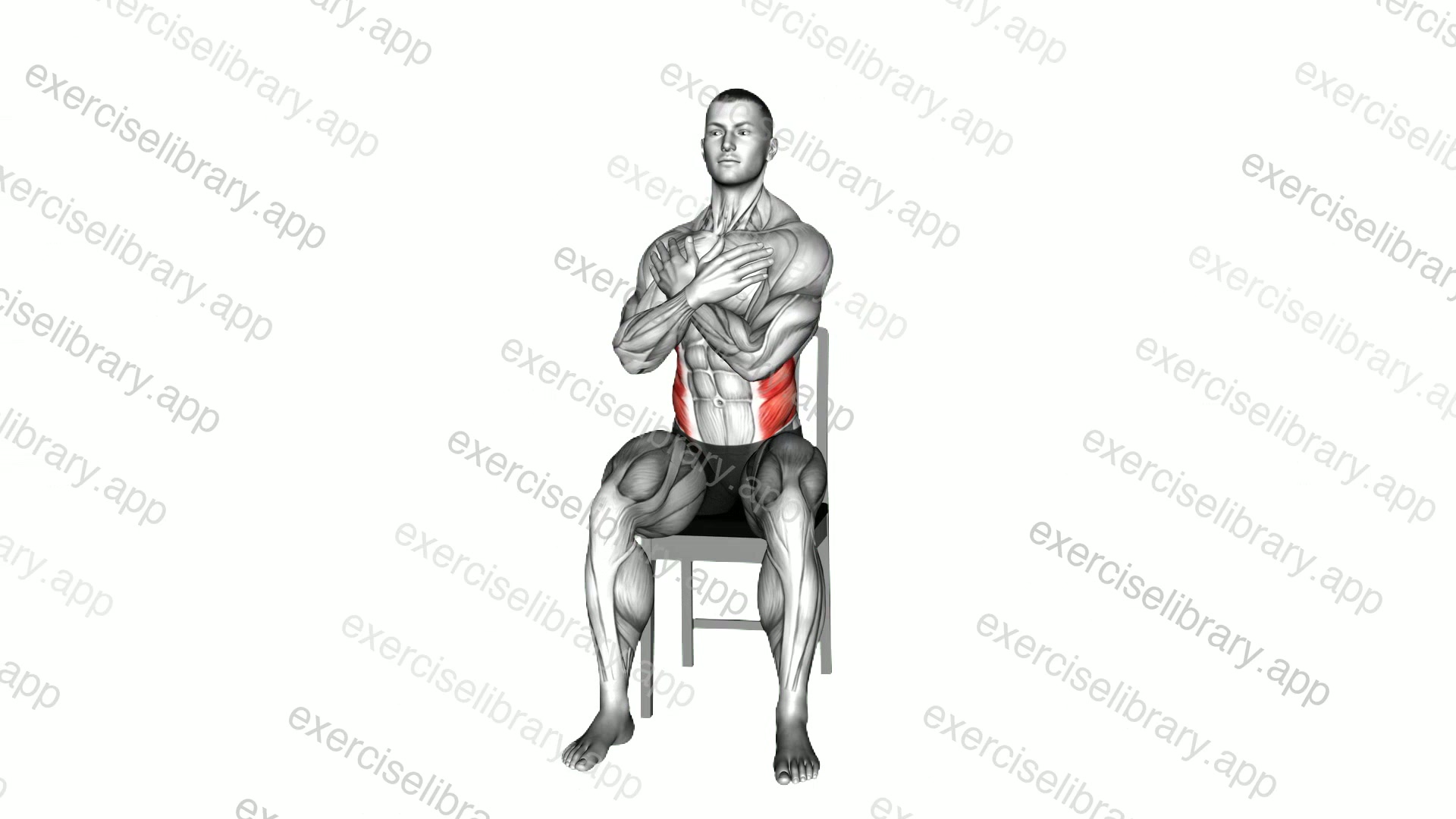 Sitting Torso Twist on a Chair demonstration