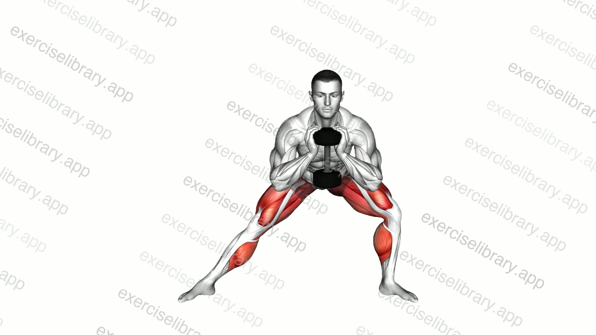 Dumbbell Goblet Side Lunge Stretch demonstration