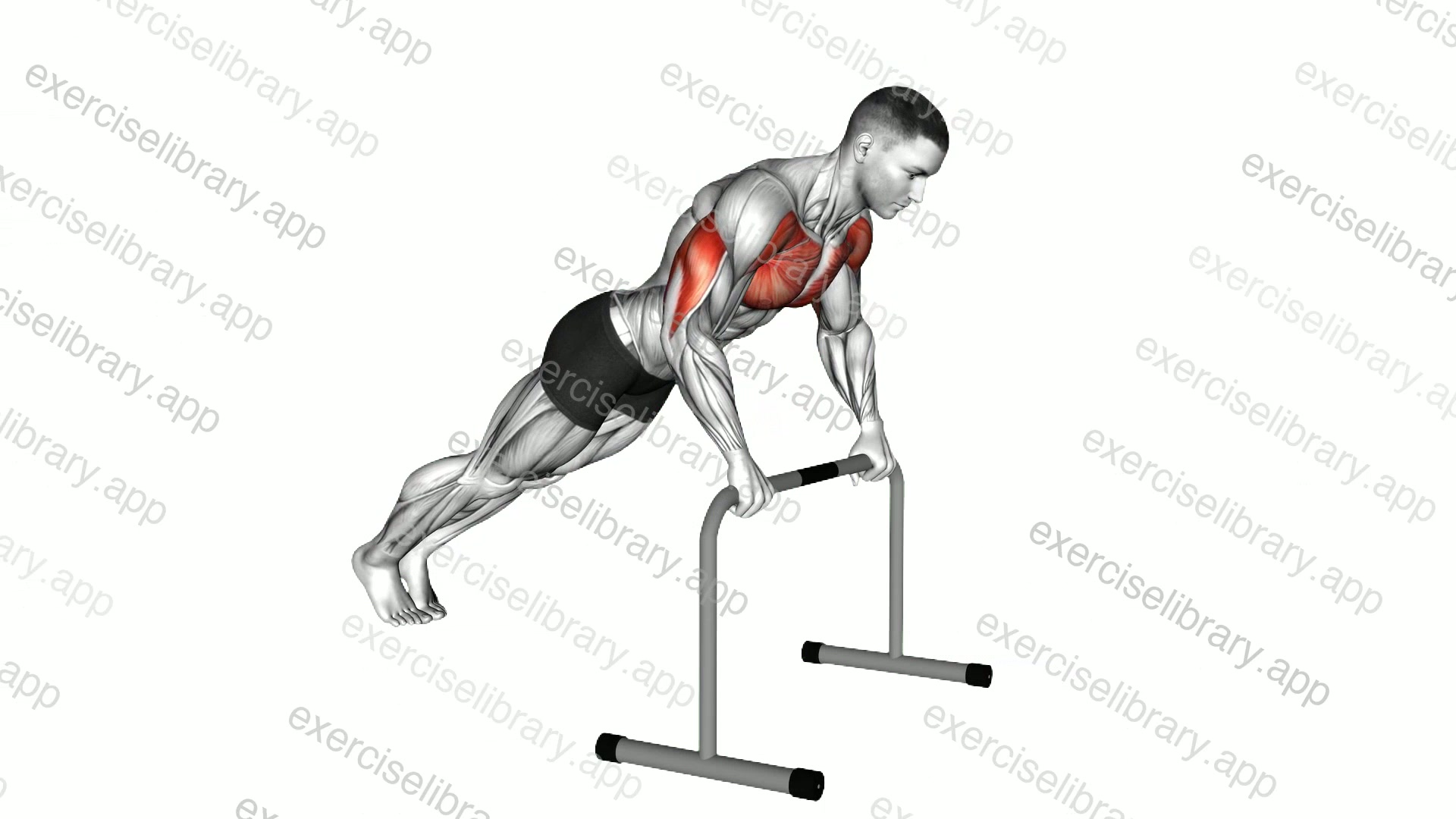 High Bar Incline Push-up demonstration