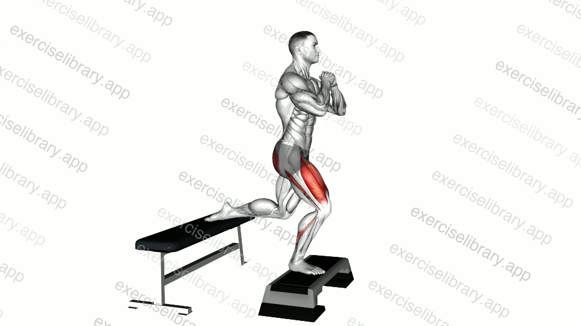 Elevated Split Squat demonstration