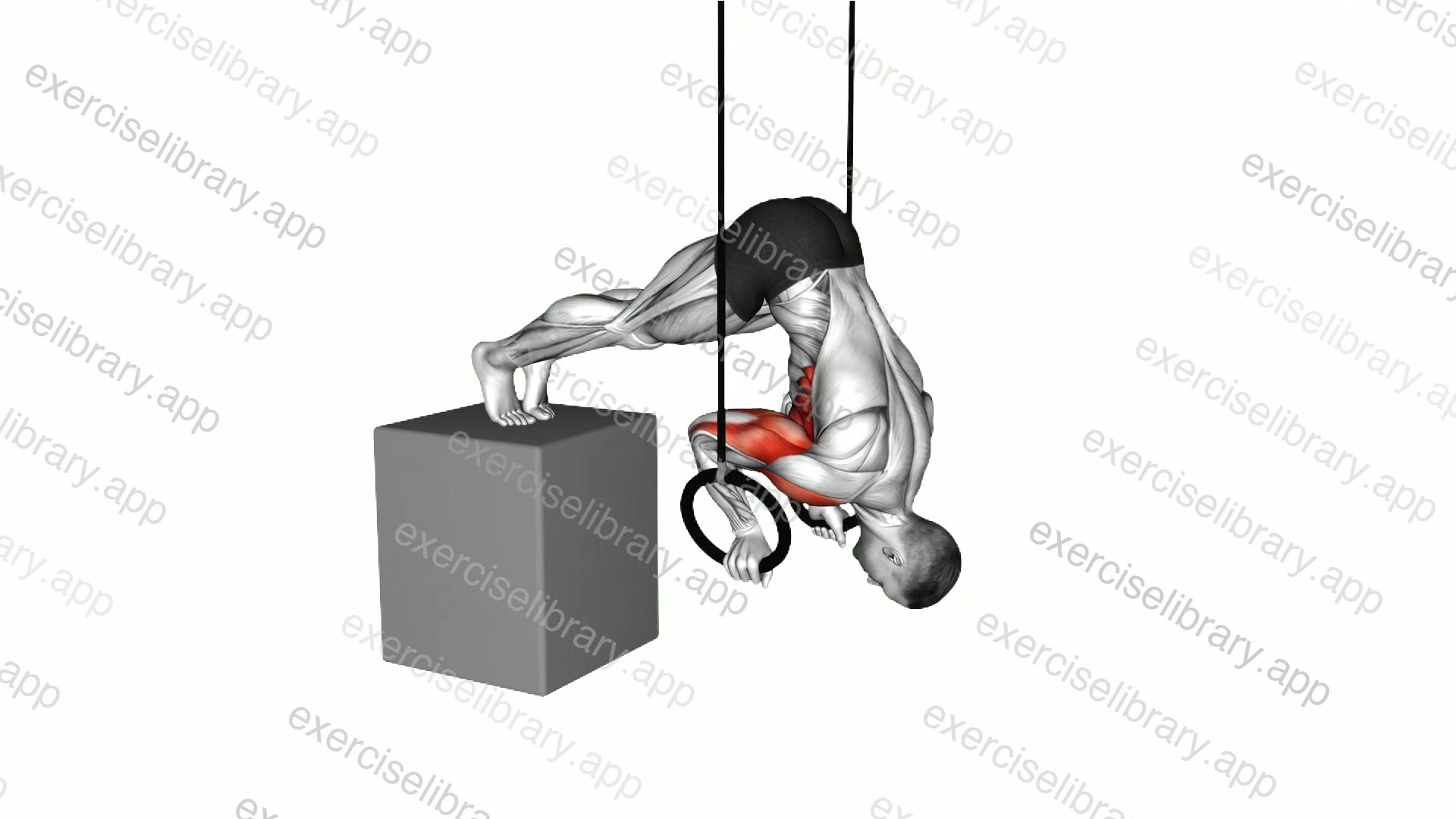 Ring Elevated Pike Push-up from deficit demonstration