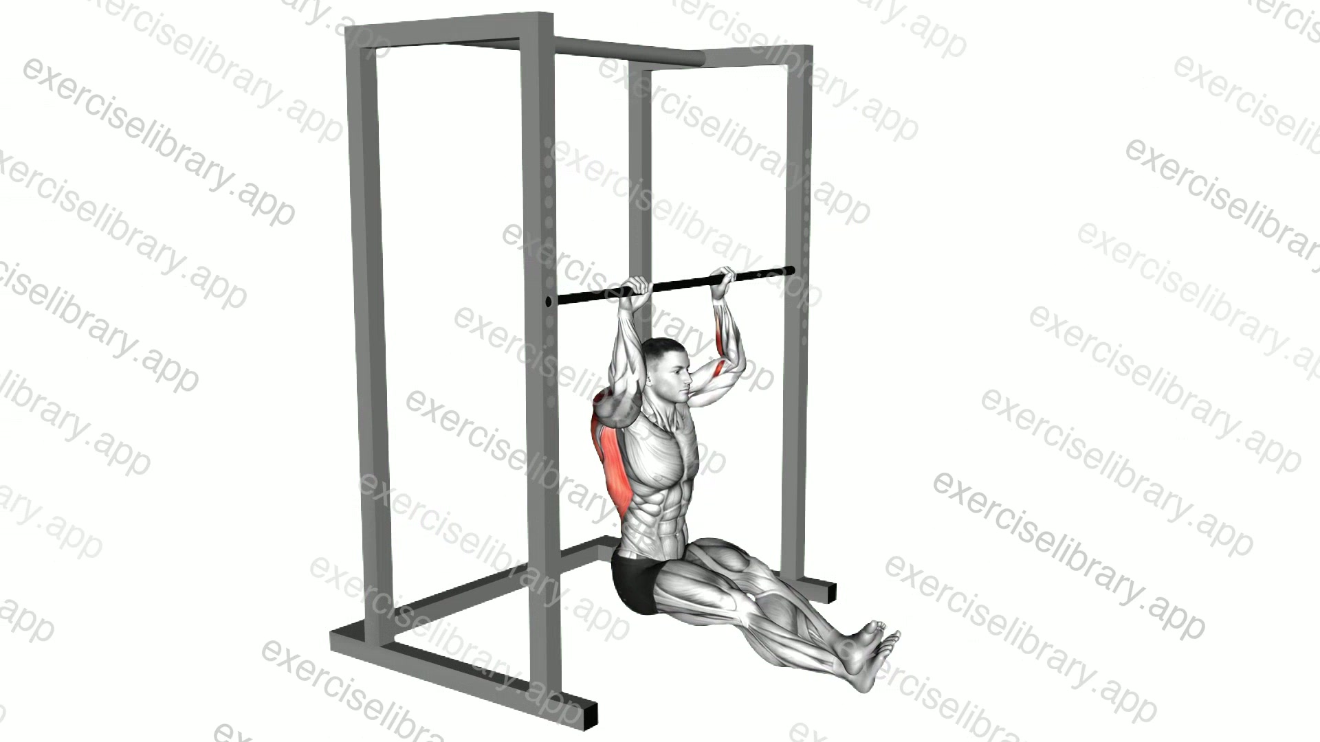 Seated Isometric Hold Pull up demonstration
