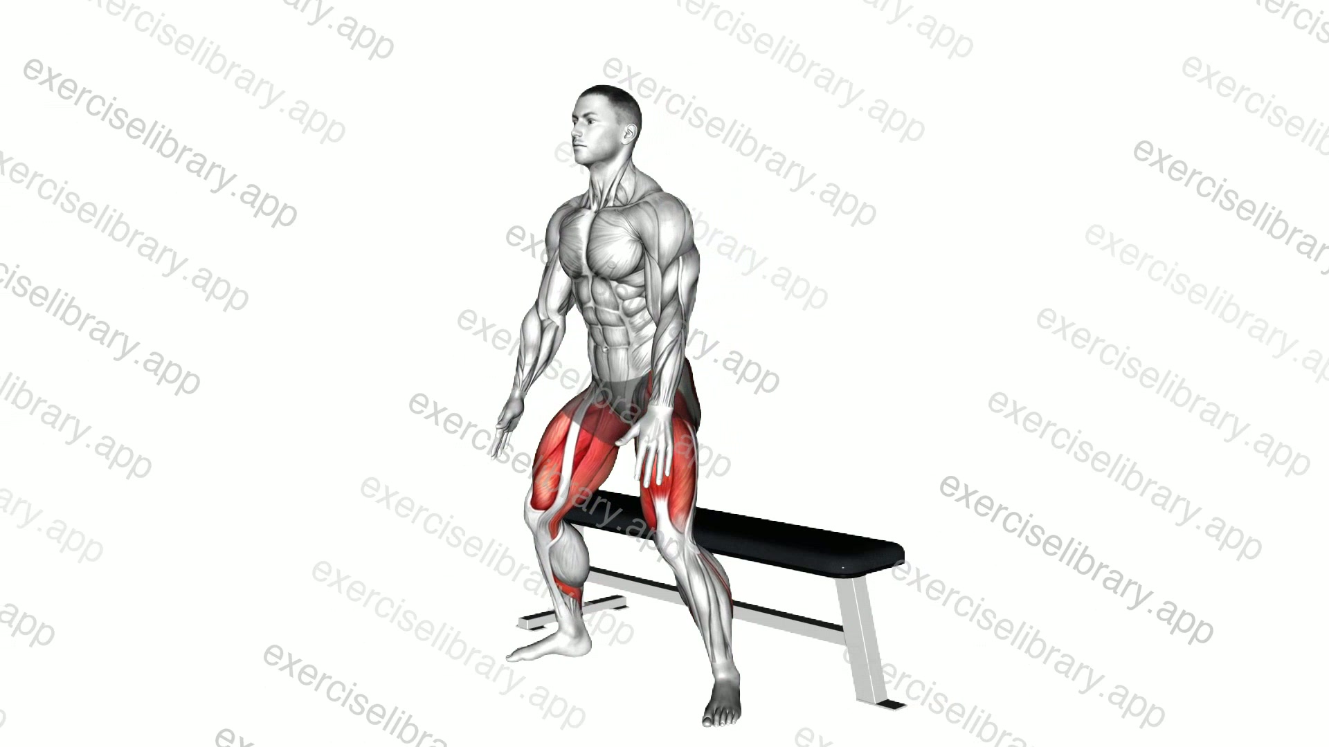 Wide Bench Air Squat demonstration