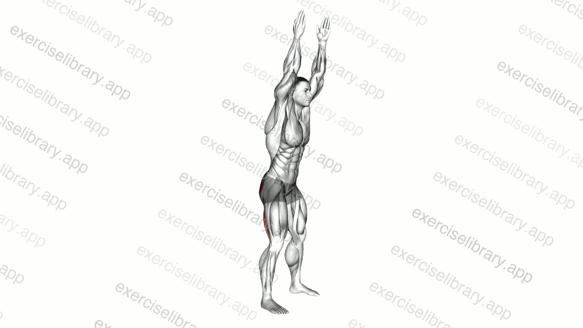 Long Lever Standing Hip Extension demonstration