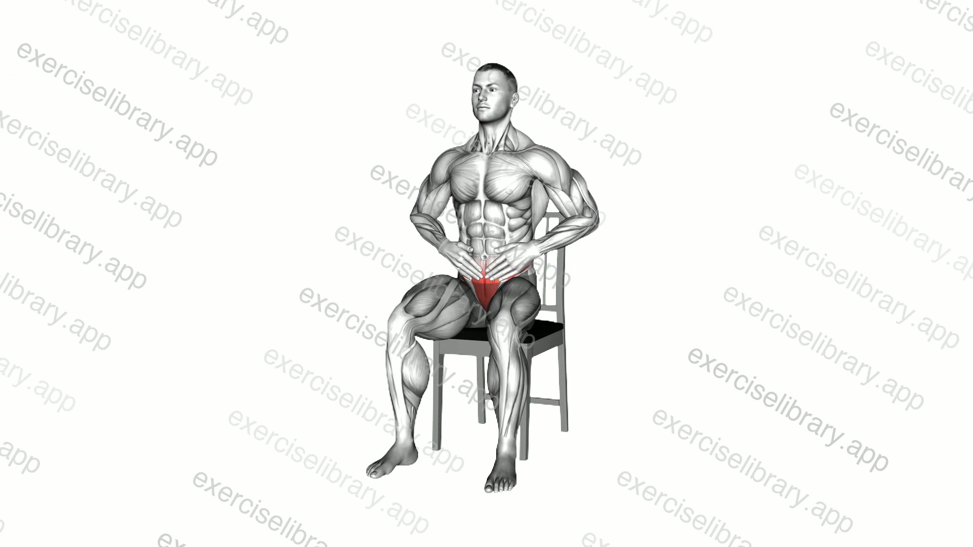 Sitting Lumbar Spine Extension demonstration