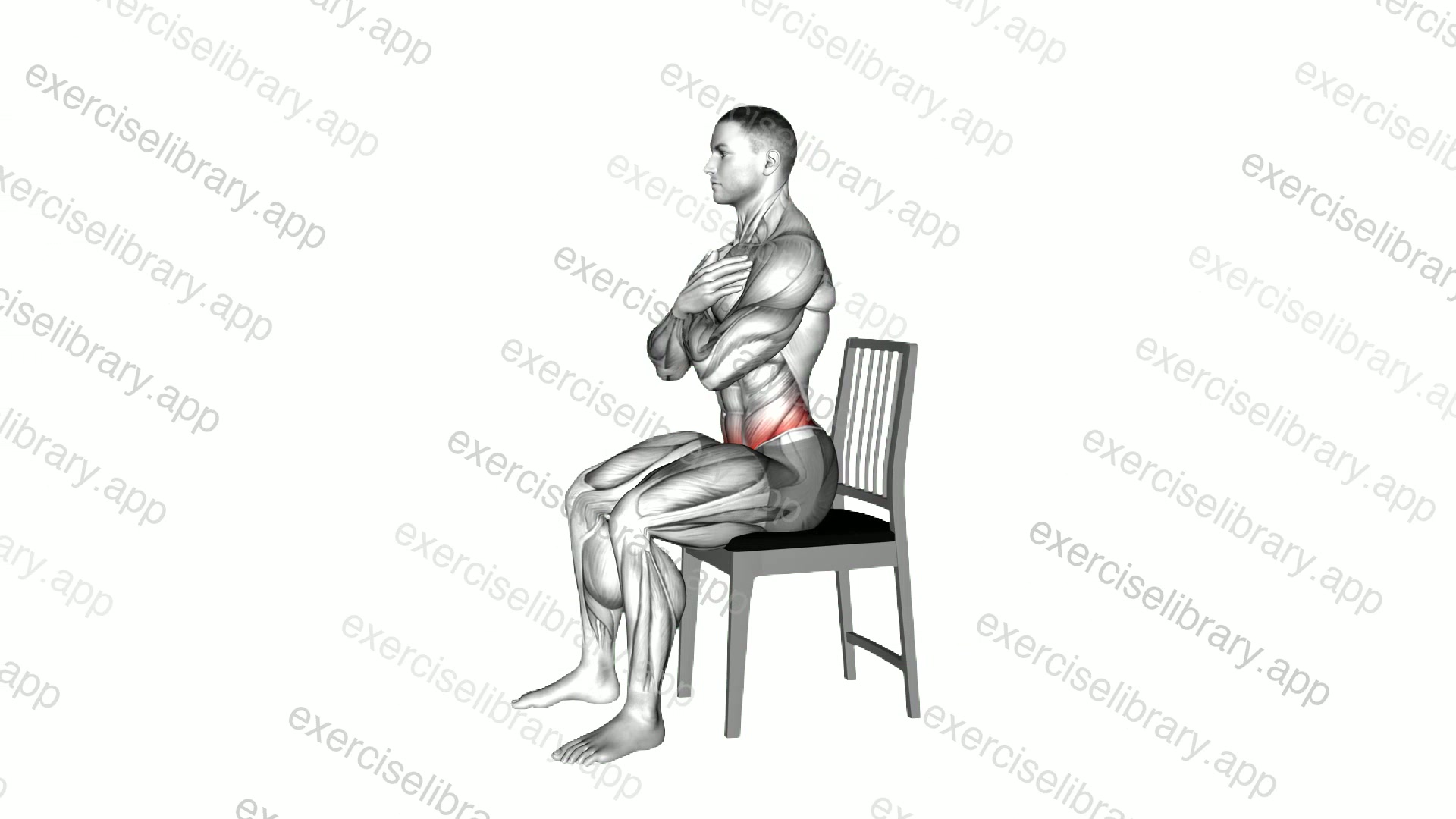 Sitting Thoracic Spine Flexion demonstration