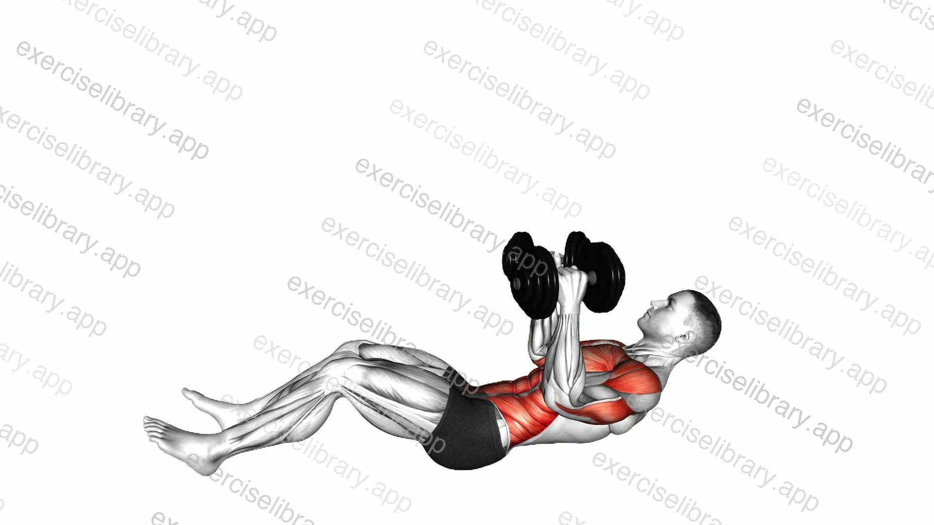 Dumbbell Sit-up to Press demonstration