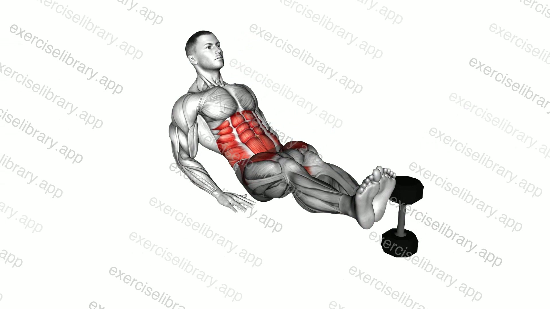 Sitting Floor Side to Side Leg Raise In Out Crunch demonstration