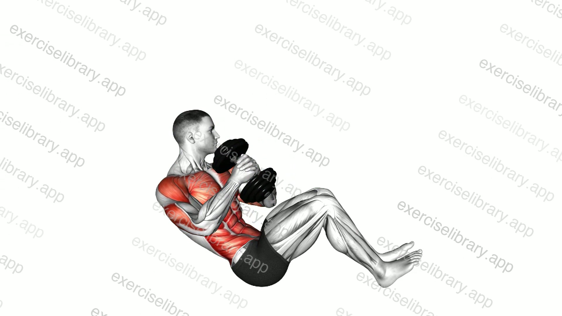 Dumbbell Russian Twist to Single Arm Press demonstration