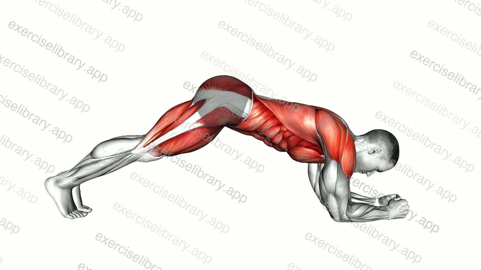 Plank Pike to Climber demonstration