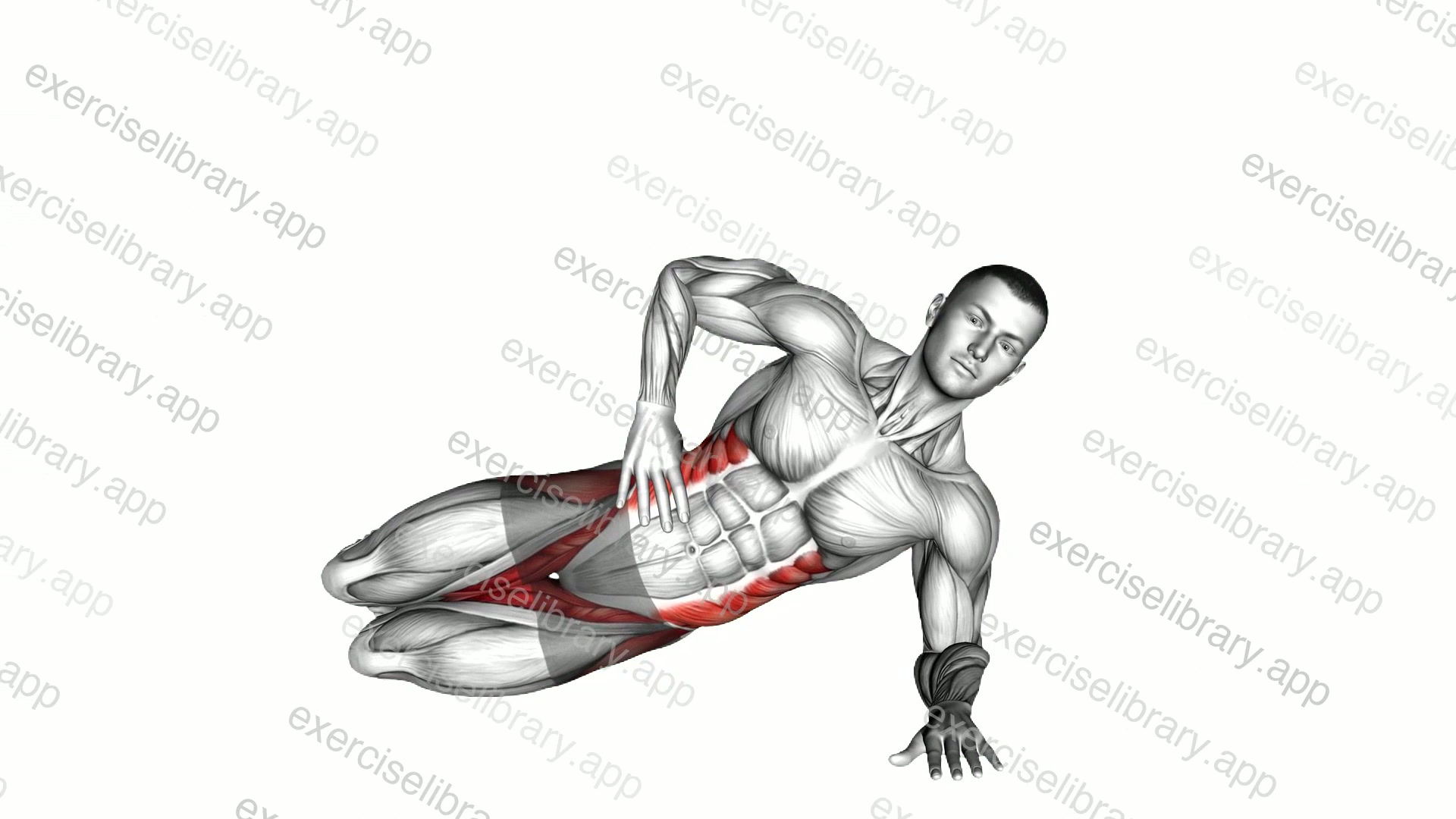 Kneeling Side Plank Raise demonstration