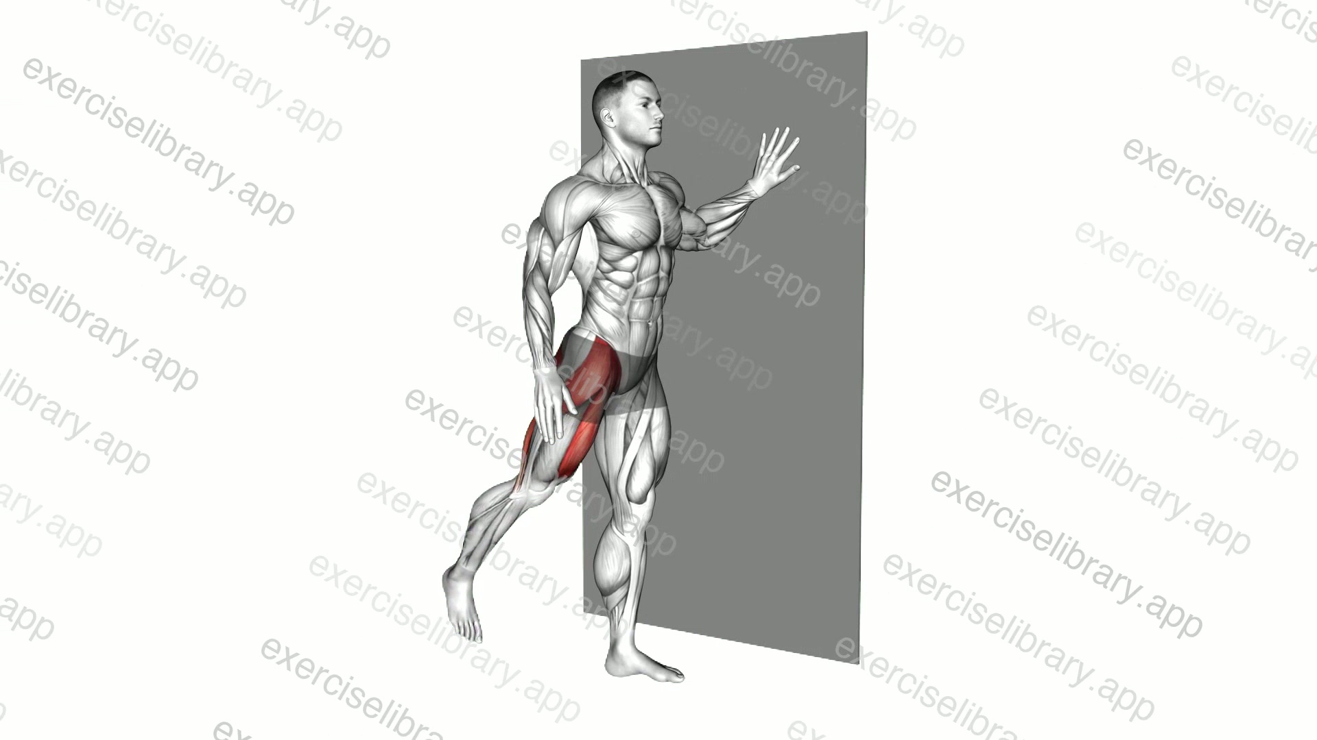 Wall Supported Front Leg Swing demonstration