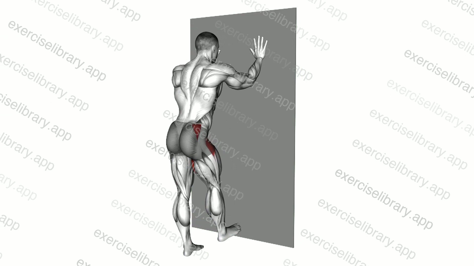 Wall Supported Side Leg Swing demonstration