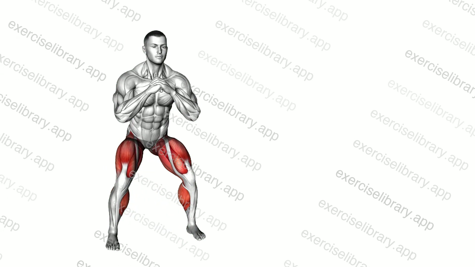 Bodyweight Lateral Walk demonstration