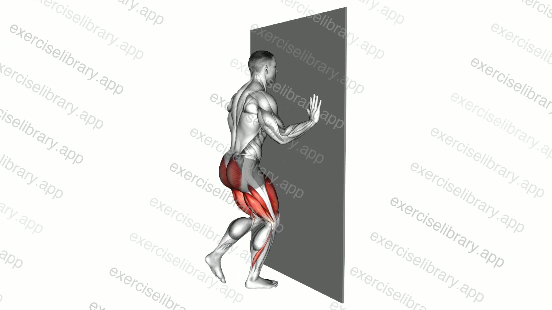 Wall Supported Reverse Lunge demonstration