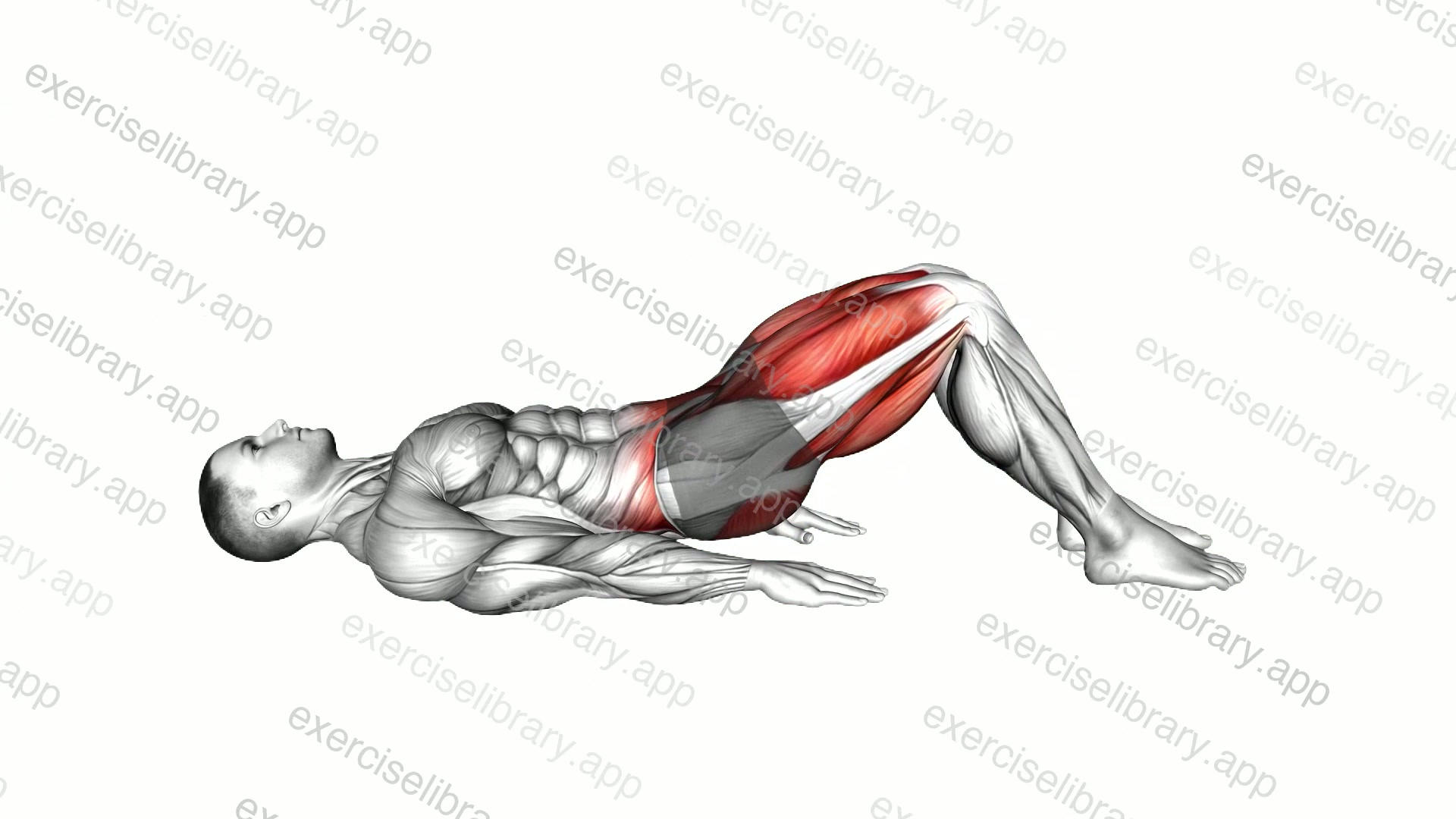 Hamstring Bridge March demonstration